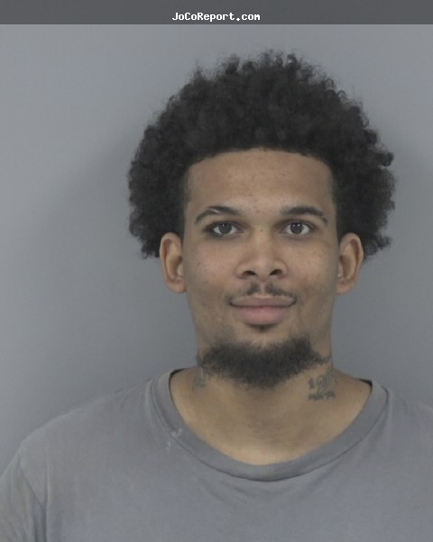 DEMARION HOLLENQUEST